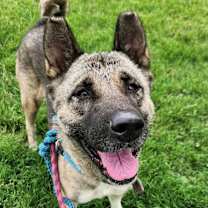 Thumbnail photo of Pearlena #1