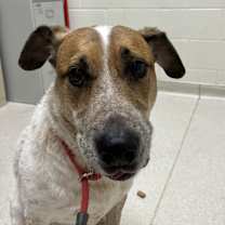 Thumbnail photo of River #2