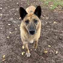 Thumbnail photo of Claire #1