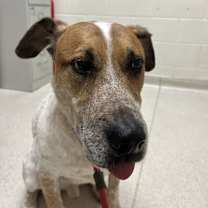 Thumbnail photo of River #3