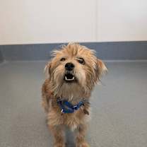 Thumbnail photo of Winnie #4