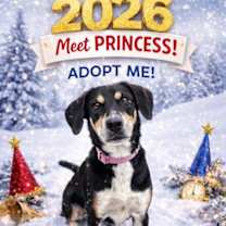 Thumbnail photo of Princess #1