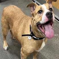 Thumbnail photo of NELLY #2