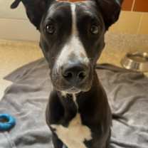 Thumbnail photo of NELLIE #3