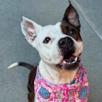 Thumbnail photo of Queen #1