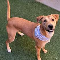 Thumbnail photo of Gwen #2