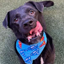 Thumbnail photo of Long Boy Liam #3