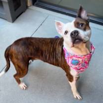 Thumbnail photo of Queen #3