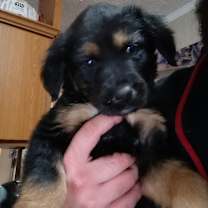 Thumbnail photo of Clyde #1