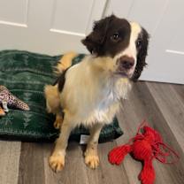 Thumbnail photo of Bruce #4