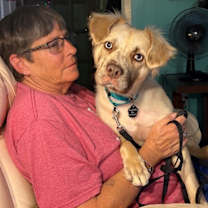 Thumbnail photo of Blaze Glory the Blue Eyed Wonder #2