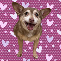 Thumbnail photo of Gerty #1