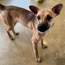 Thumbnail photo of Tina #1