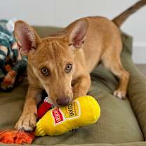 Thumbnail photo of Jess #3