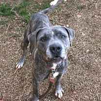 Thumbnail photo of Jovie 3831 #3