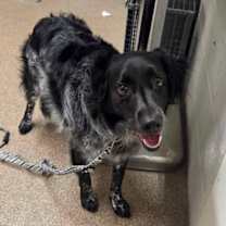 Thumbnail photo of Jupiter #1