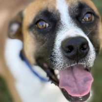 Thumbnail photo of RIO #4