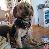 Thumbnail photo of Julius #3