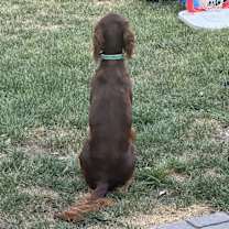 Thumbnail photo of Lady Ma’am #2