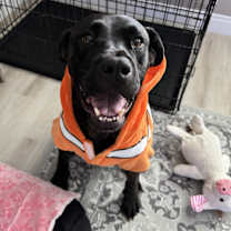 Thumbnail photo of Georgia #1