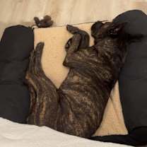 Thumbnail photo of Georgia #4