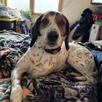 Thumbnail photo of Barney #3