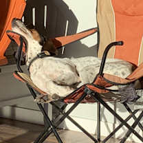 Thumbnail photo of Barney #4