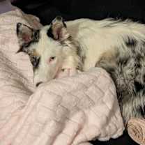 Thumbnail photo of Kya Philly #4