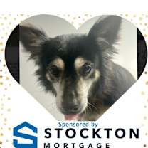 Thumbnail photo of Buska 5682D #1