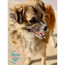 Thumbnail photo of Winston HB #3