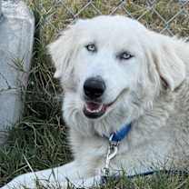 Thumbnail photo of Paige coming soon #1