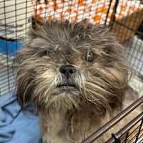 Thumbnail photo of Rhombus #2