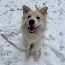 Thumbnail photo of Ivan #1