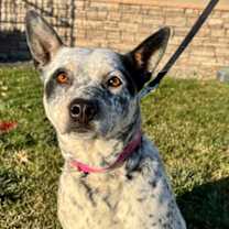 Thumbnail photo of Kima #1