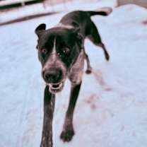 Thumbnail photo of Aero #3