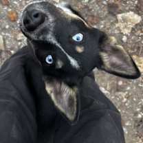 Thumbnail photo of Gemma #1