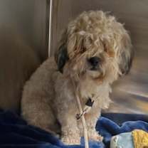 Thumbnail photo of New Years #2