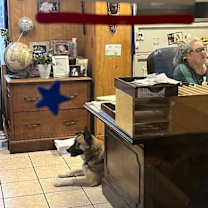 Thumbnail photo of Skippy Blue has Eyes for You #4