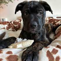 Thumbnail photo of Elora #1