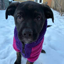 Thumbnail photo of Elora #2