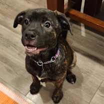 Thumbnail photo of Elora #3