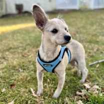 Thumbnail photo of Lacy Ann in RI #3