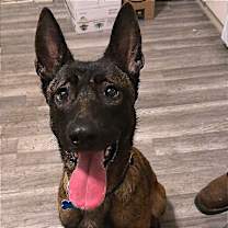 Thumbnail photo of Lyza #1