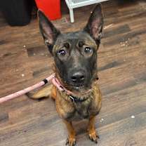 Thumbnail photo of Lyza #3