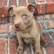 Thumbnail photo of Campbell #1