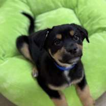 Thumbnail photo of Crosby #2