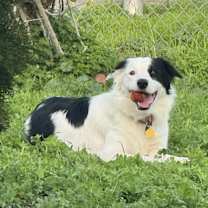 Thumbnail photo of Ellie #2