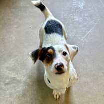 Thumbnail photo of Watermelon #2