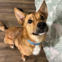 Thumbnail photo of Larry #4