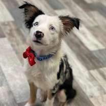 Thumbnail photo of Bagel #4